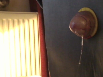 grandler  17-11-2021 video submissive